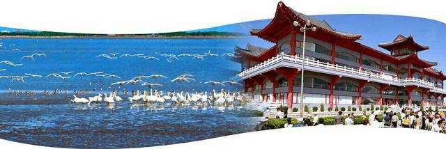 山東文旅融合新篇章 “黃河入?！迸c“仙境海岸”雙品牌驅動旅游發展